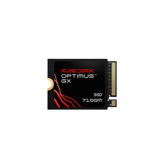 SANDISK Optimus GX 7100M 2TB