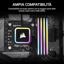 CMPLEKIT2 thumbnail 5