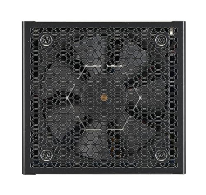 Super Flower Combat FG 1000W image 5