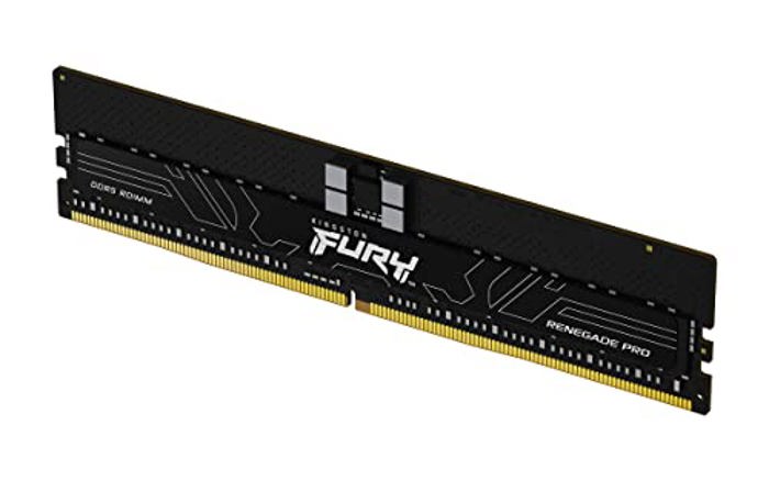 Kingston Fury Renegade Pro 16GB DDR5 5600 Expo ECC Reg image 2