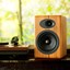 Audioengine A5+ Plus Bamboo thumbnail 8