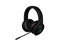 Razer Kraken RZ04-01200100-R3U1