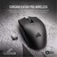 Corsair Katar Pro Wireless thumbnail 4