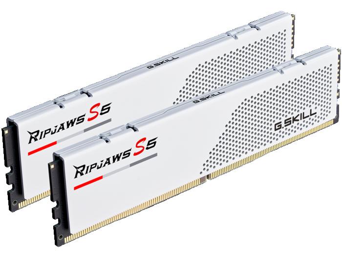 F5-5200J4040A24GX2-RS5W
