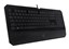 Razer DeathStalker Essential thumbnail 2