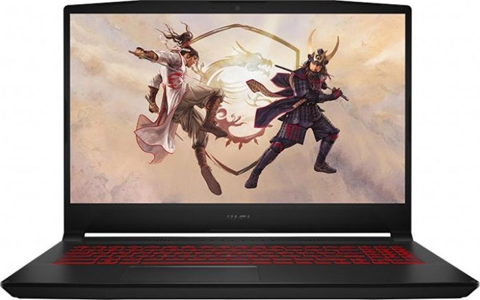 MSI Katana GF66 11UD-1070IT