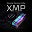 XPG D50 RGB 16GB (2x8GB) DDR4 3600MHz thumbnail 3