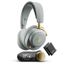 SteelSeries Arctis Nova Elite Sage Gold