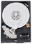 Western Digital 80GB Caviar Blue WD800AAJS