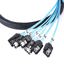SATA-005 thumbnail 5