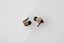 Final Audio Design B1 Sound Isolating in-Ear