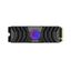 Lexar Professional NM1090 1TB HeatSink PCIe Gen5x4 NVMe M.2 2280 LNM1090001T-RNANU