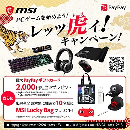 MSI Immerse GH20 image 7