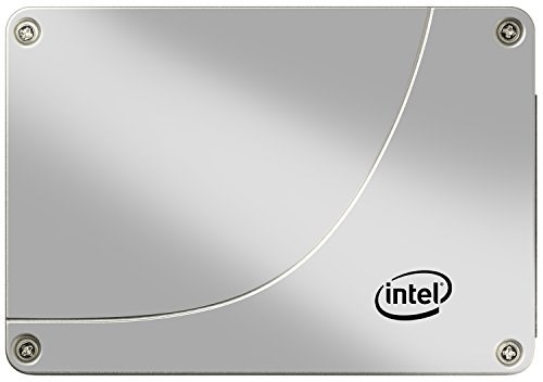 SSDSA2BZ100G301