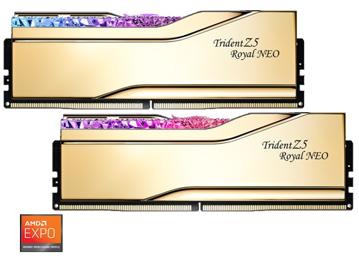 F5-6000J2636H24GX2-TR5NG