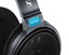 Sennheiser HD 600 thumbnail 4
