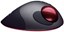 Logitech Optical TrackMan thumbnail 4