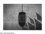 CORSAIR KATAR PRO XT thumbnail 14
