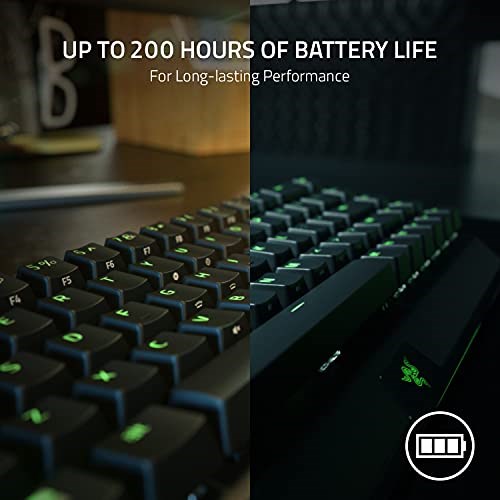 Razer BlackWidow V3 Mini HyperSpeed Tactile image 6