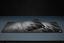 CH-9413631-WW thumbnail 11