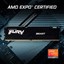 Kingston Fury Beast 16GB DDR5 5200 CL36 thumbnail 6