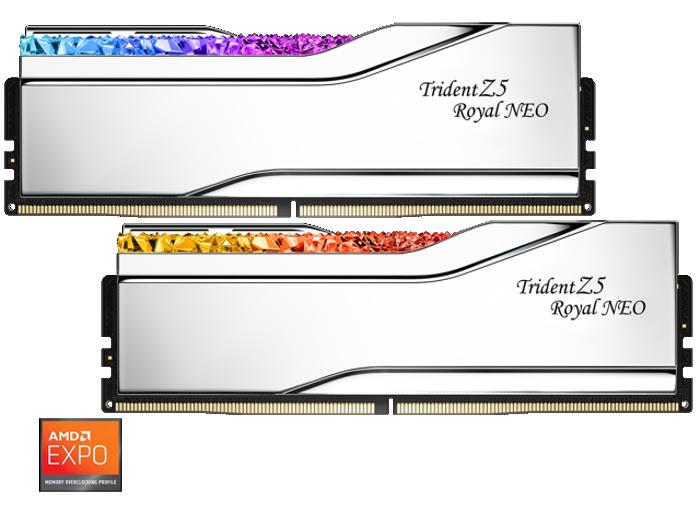 F5-8000J4048G24GX2-TR5NS