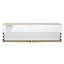 KLEVV Urbane V RGB White 48GB (2x24GB) DDR5 6400MT/s CL32 UDIMM KD5KGUD80-64A320M