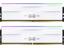 Silicon Power Zenith RGB 64GB (2x32GB) DDR5 6000MHz CL30 White