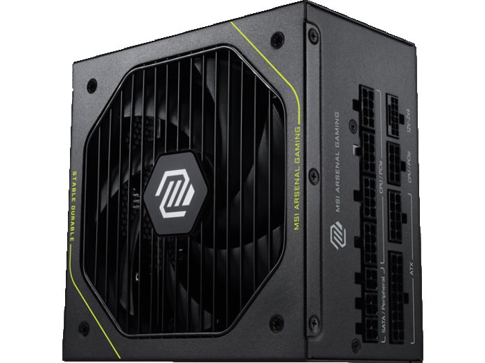 MSI MAG A1000PLS PCIE5