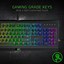 Razer Cynosa Chroma thumbnail 2