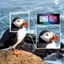 Acer ConceptD CP3 CP3271K Pbmiippruzx thumbnail 2