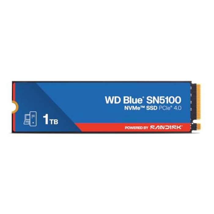 WDS100T5B0E-00CPE0, WDS100T5B0E