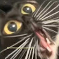 12345678901011233