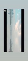 Acedome