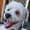 AussieSeal