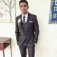 Beast_Incarnet