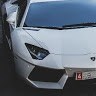 BigPolo