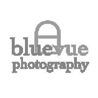 BlueVueMusic