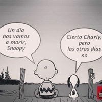 CARACTER24