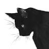 CATpresident
