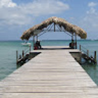 CaribbeanPrince