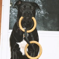 Charlie