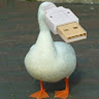 CherryGoose