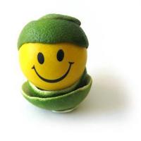 CitroSmile