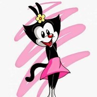 Dot_Warner