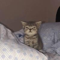 Fluffie14