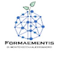 Formaementis