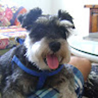 Franklyn