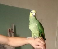 Gianpiero84