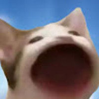 Jaknub